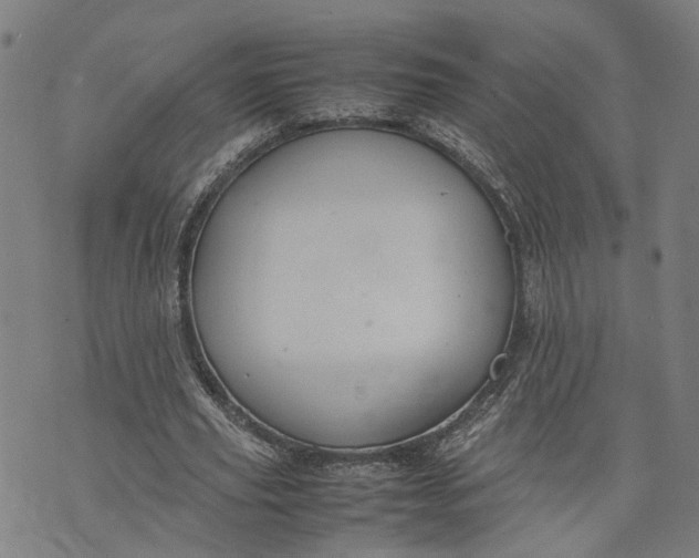 X0000074210629200609081532