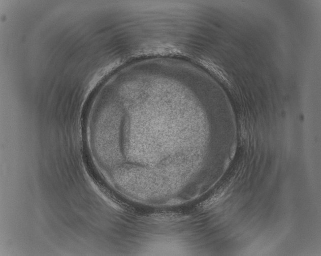 X0000074210630200609081532