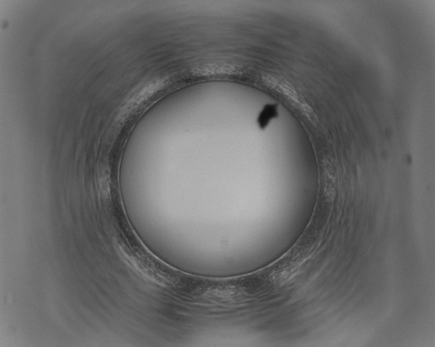 X0000074210631200609081532