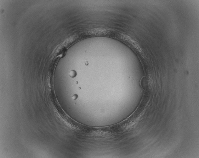 X0000074210633200609081532