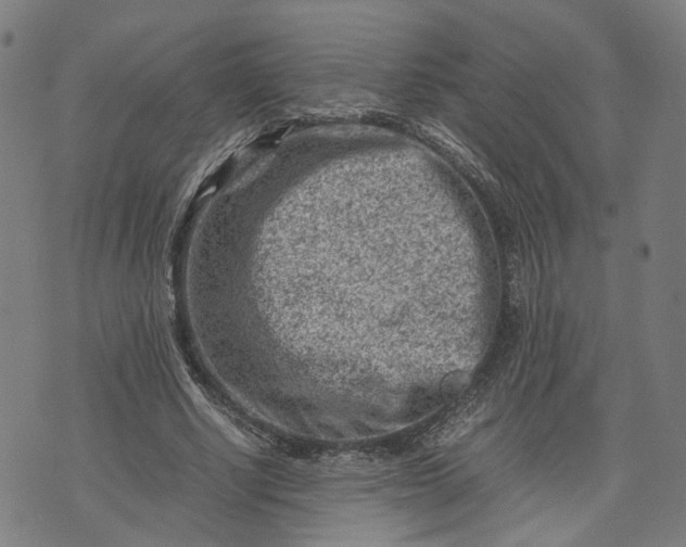 X0000074210634200609081532