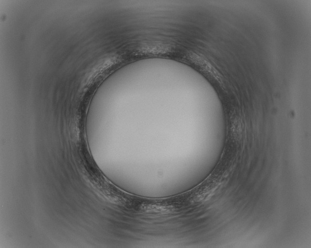 X0000074210635200609081532