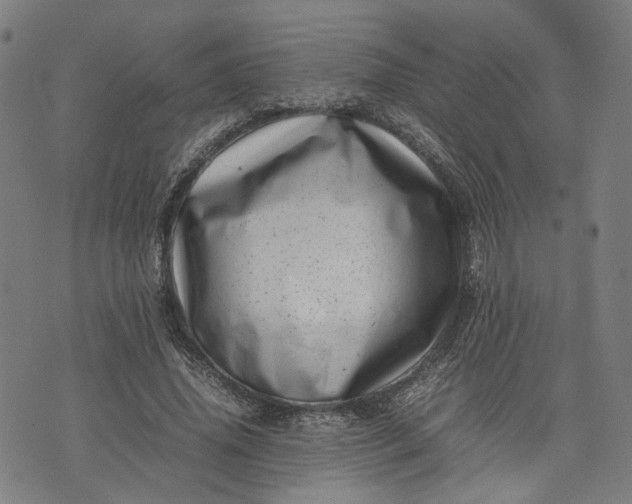 X0000074210636200609081532