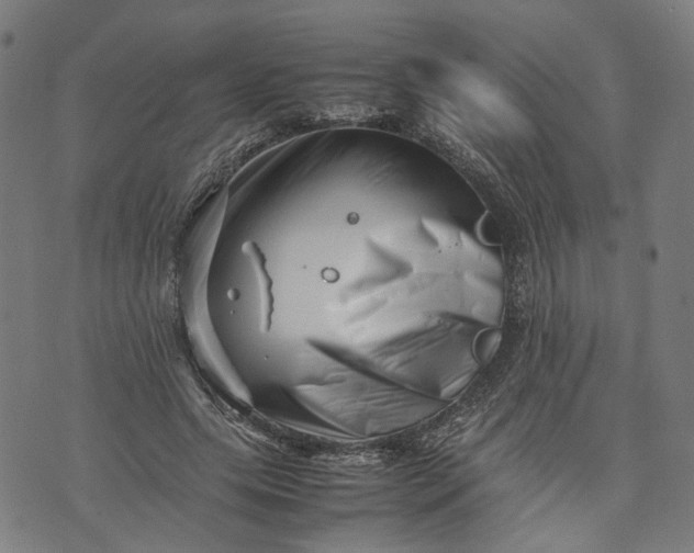 X0000074210639200609081532