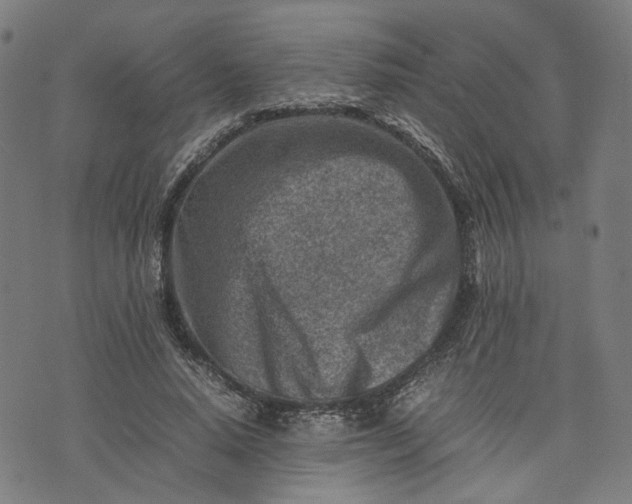 X0000074210640200609081532