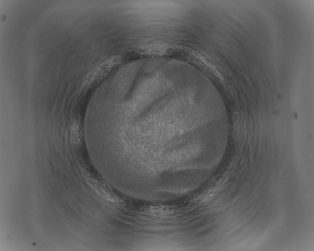 X0000074210641200609081532