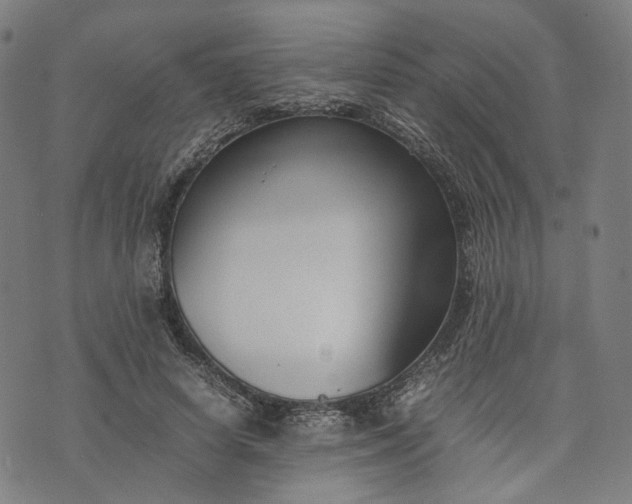 X0000074210642200609081532