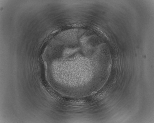 X0000074210643200609081532