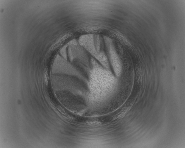 X0000074210644200609081532