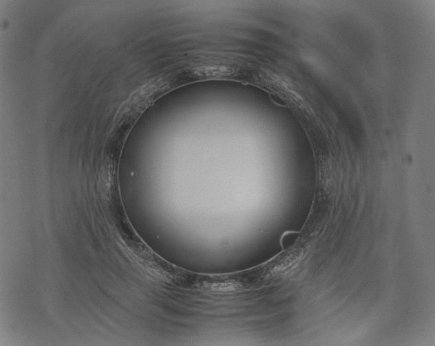 X0000074210645200609081532