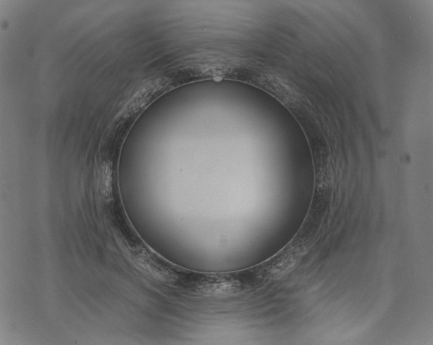 X0000074210646200609081532