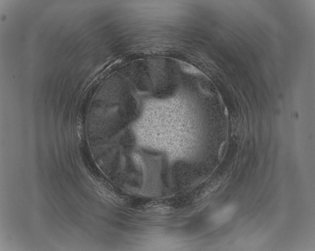 X0000074210648200609081532