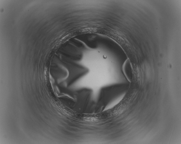 X0000074210649200609081532