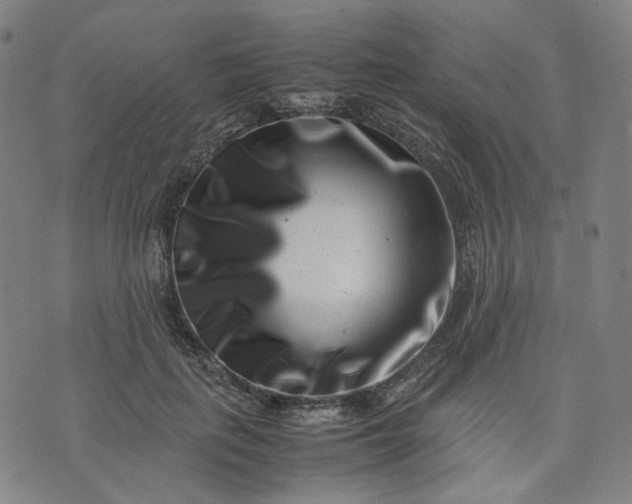 X0000074210651200609081532