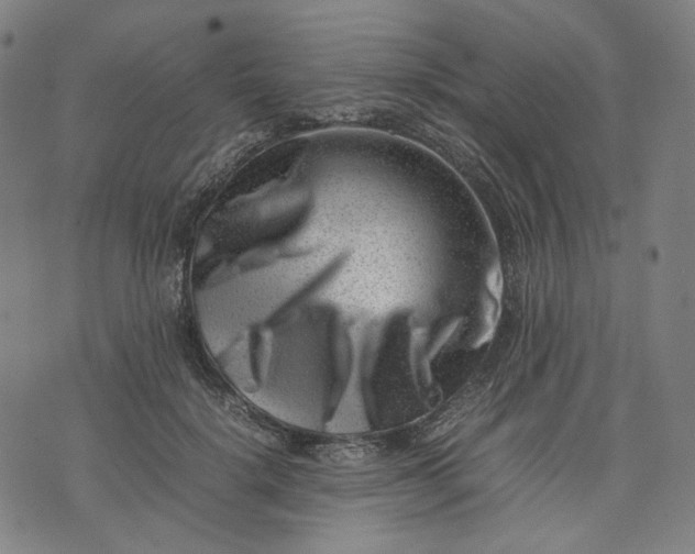 X0000074210652200609081532