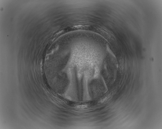 X0000074210653200609081532