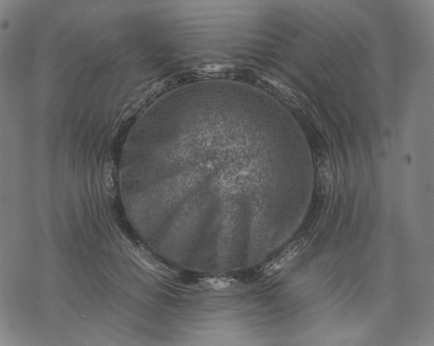 X0000074210654200609081532