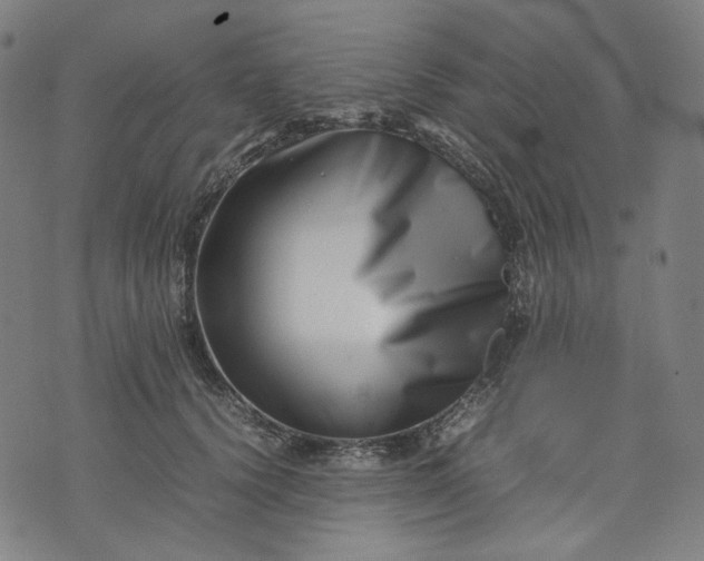 X0000074210656200609081532