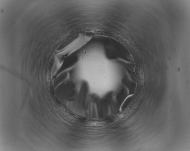 X0000074210657200609081532