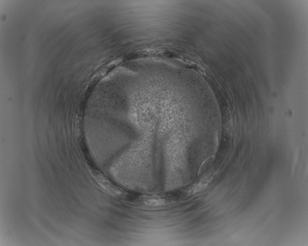 X0000074210658200609081532