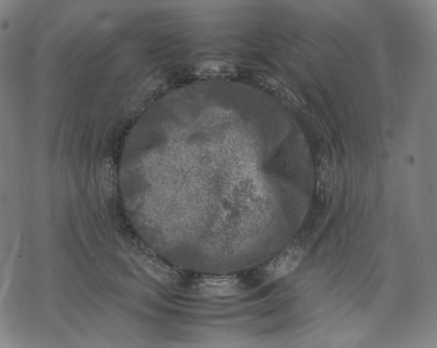 X0000074210659200609081532