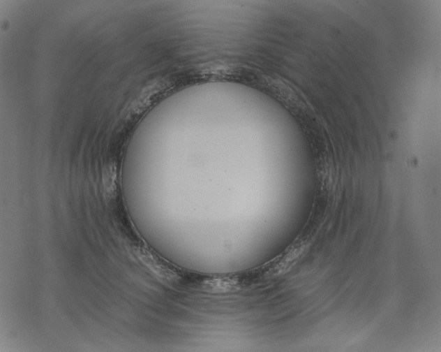 X0000074210660200609081532