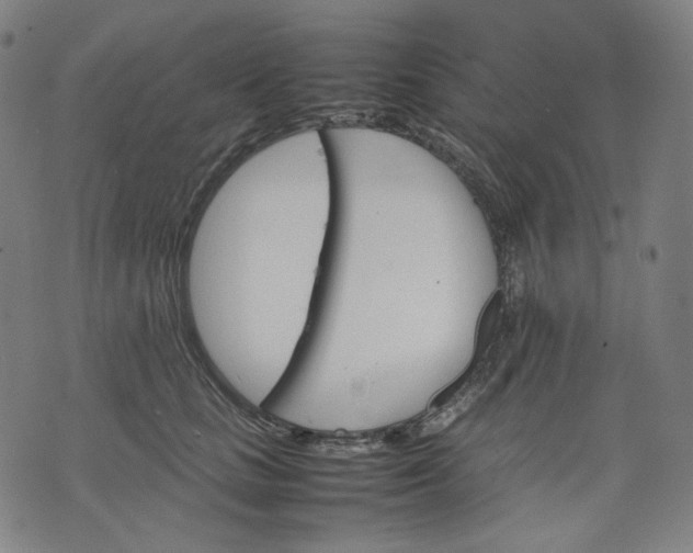 X0000074210661200609081532