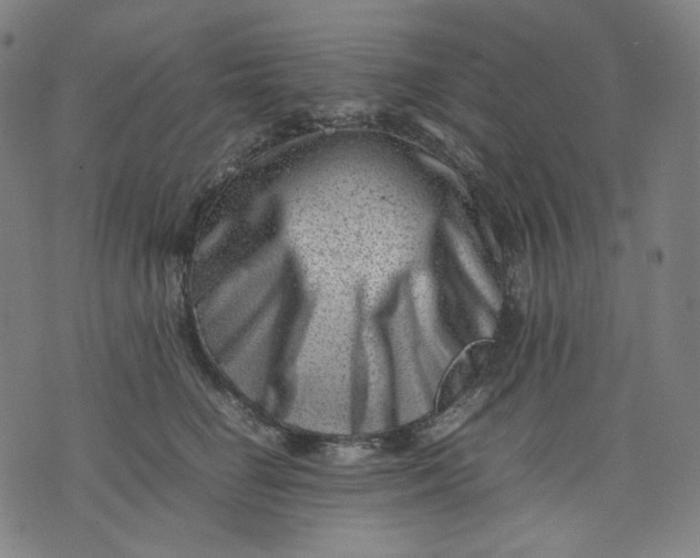 X0000074210662200609081532