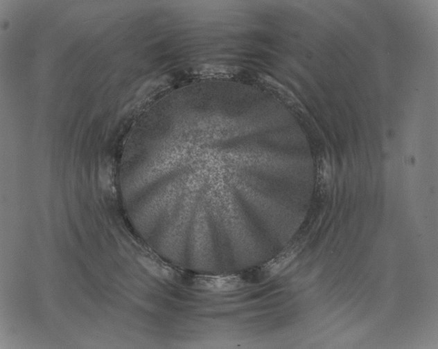 X0000074210663200609081532