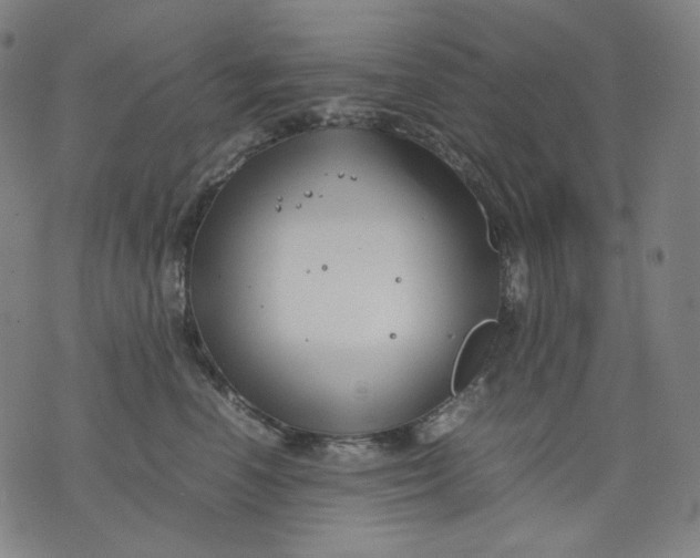 X0000074210666200609081532