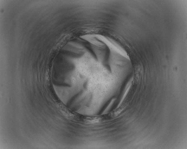 X0000074210667200609081532