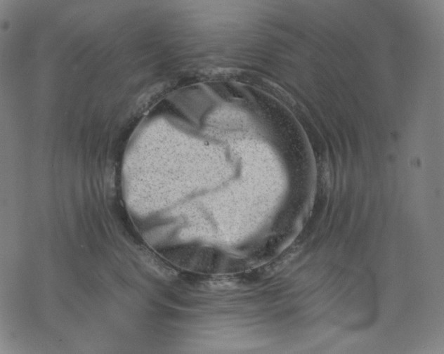 X0000074210668200609081532