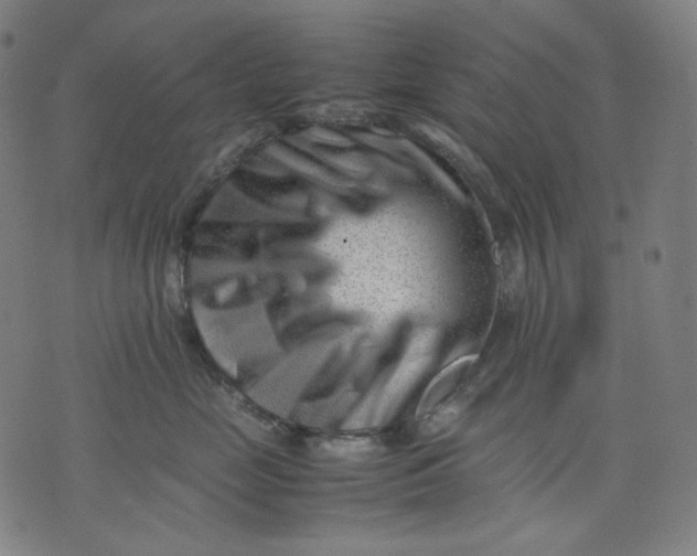 X0000074210669200609081532