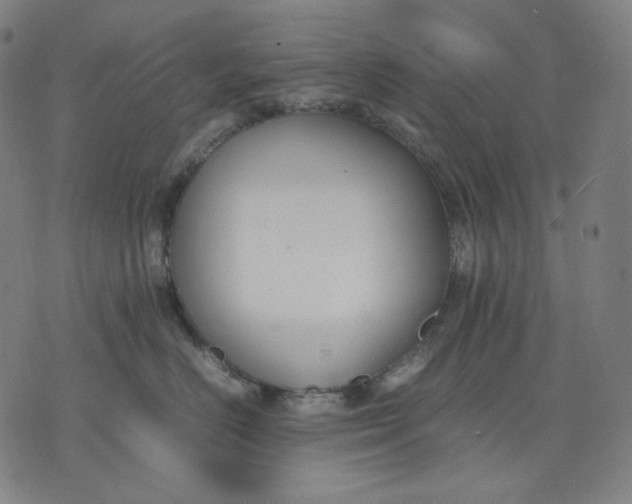 X0000074210670200609081532