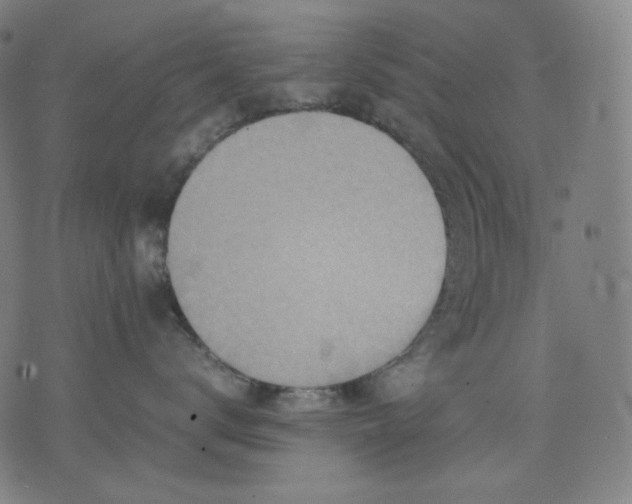 X0000074210672200609081532