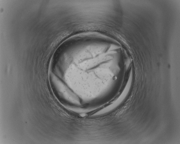 X0000074210673200609081532