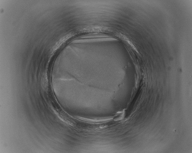 X0000074210674200609081532