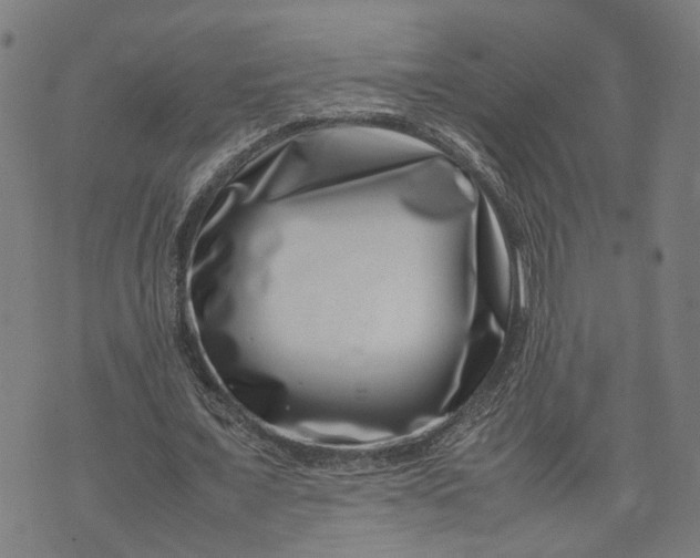 X0000074210675200609081532