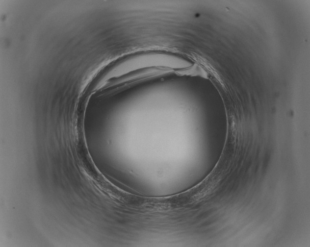 X0000074210676200609081531