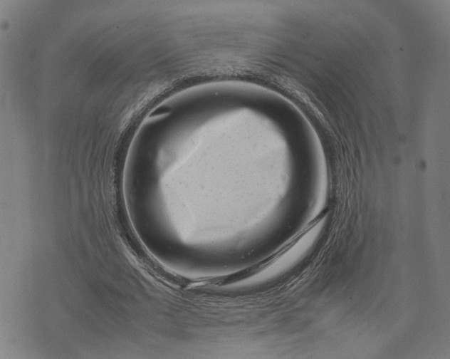 X0000074210677200609081531