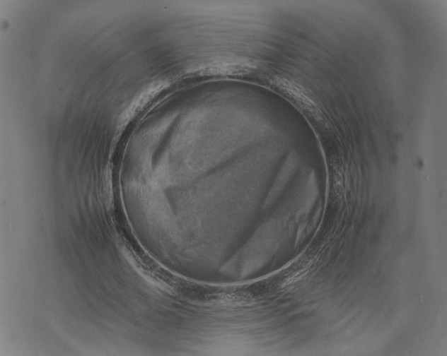 X0000074210678200609081531