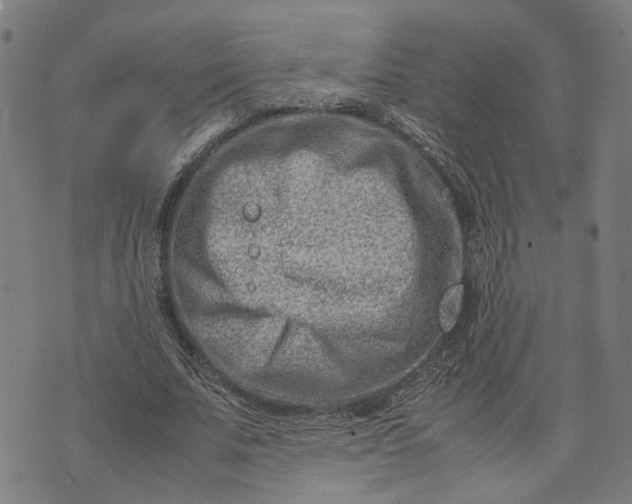 X0000074210679200609081531