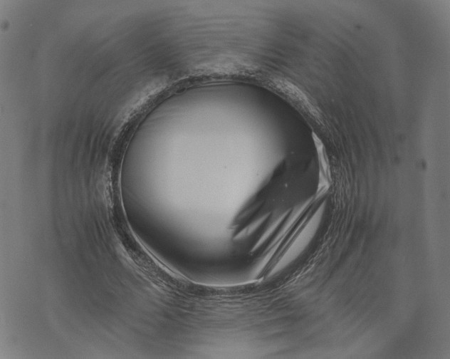 X0000074210680200609081531