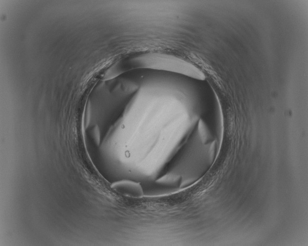 X0000074210681200609081531