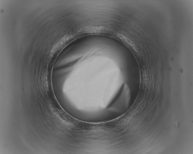 X0000074210682200609081531