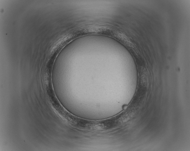 X0000074210683200609081531