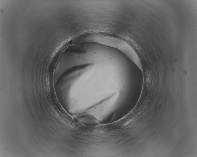 X0000074210684200609081531