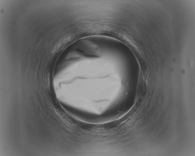 X0000074210685200609081531