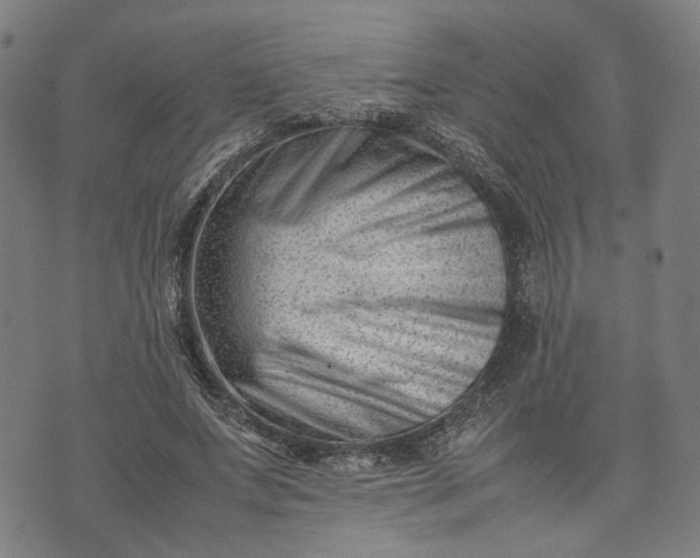 X0000074210687200609081531