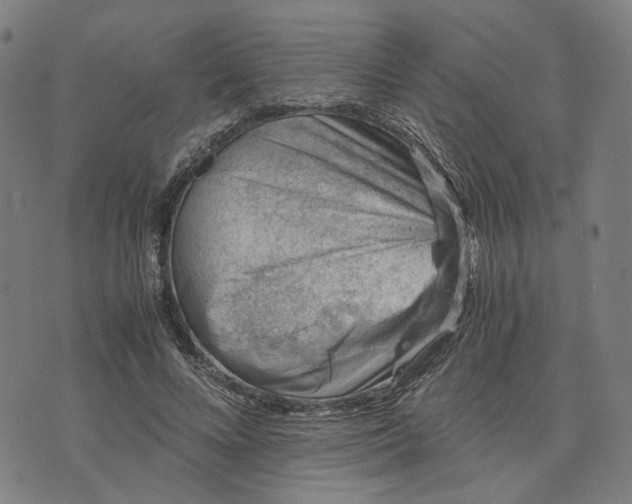 X0000074210688200609081531